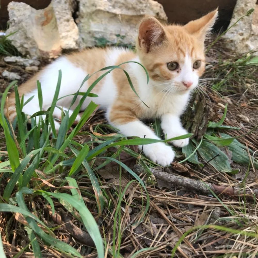 Meet your Posher, Flor